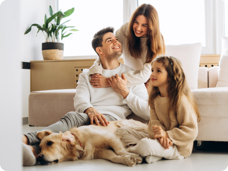 regularizacao e fiscalizacao