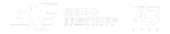 header logo grupo Breitkopf