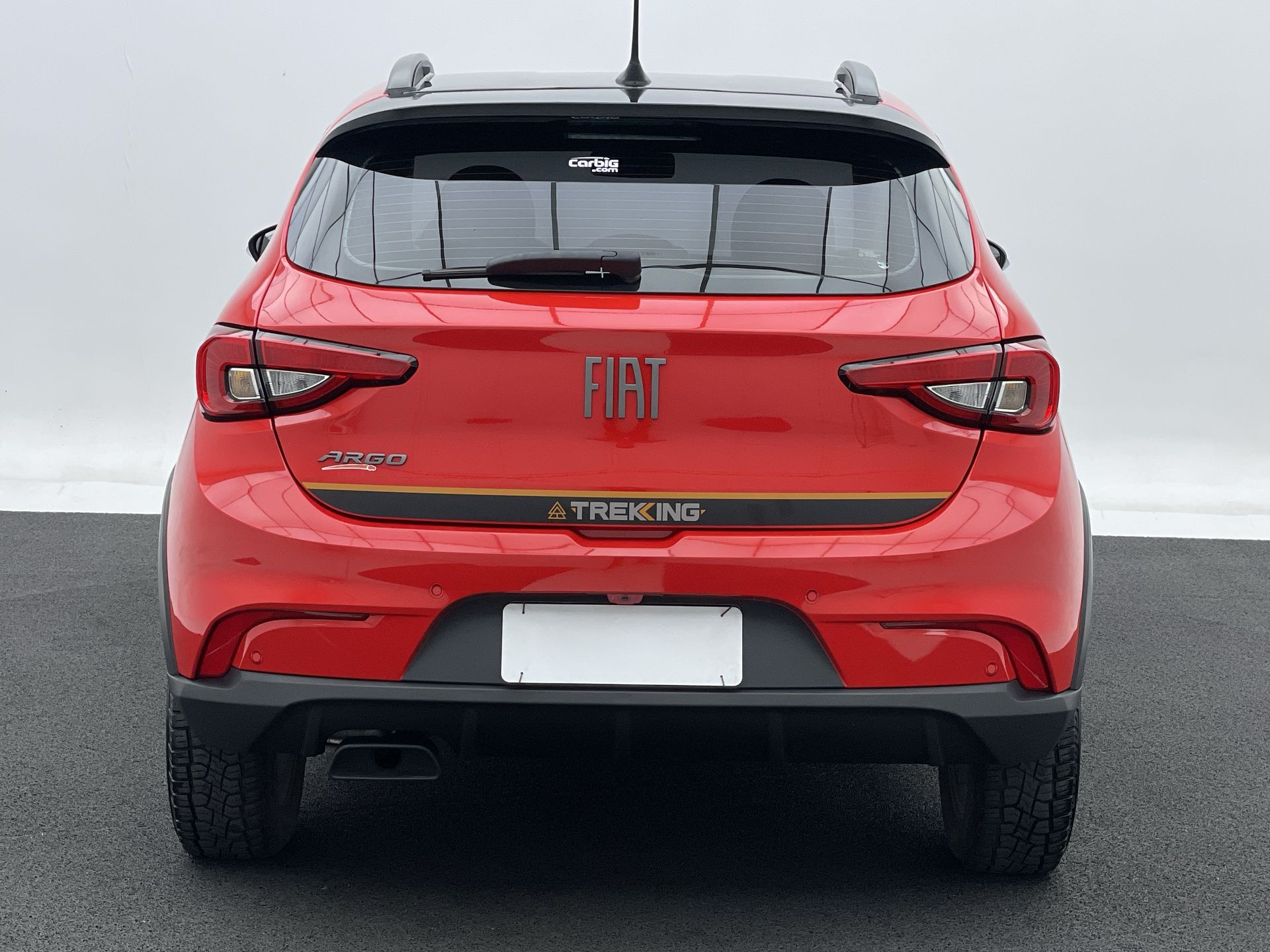 ARGO TREKKING 1.3 8V Flex