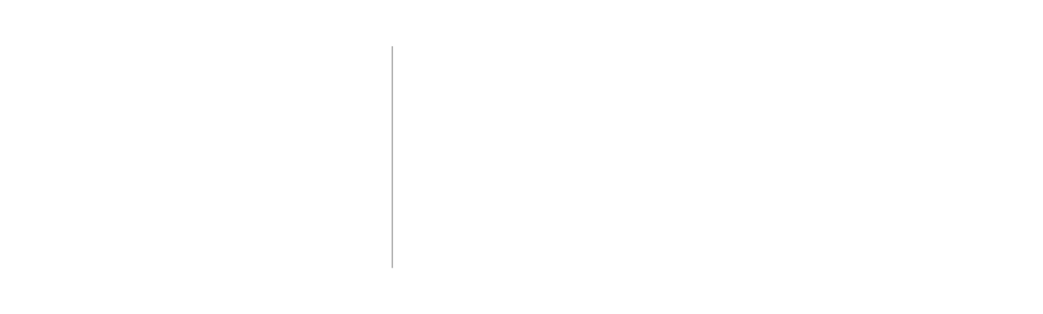 Logo Via Porto Peugeot