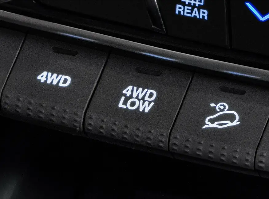 SELETOR DE TRAÇÕES​