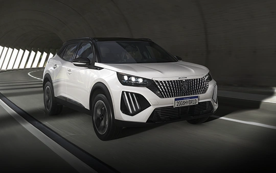 Performance híbrida