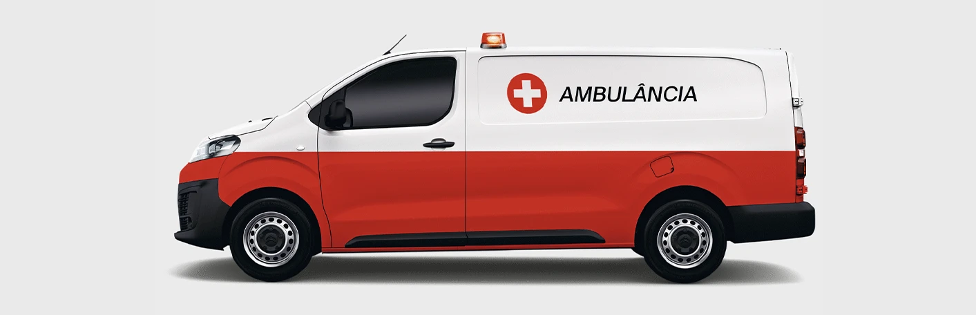 DE ACORDO COM A SUA PROFISSÃO