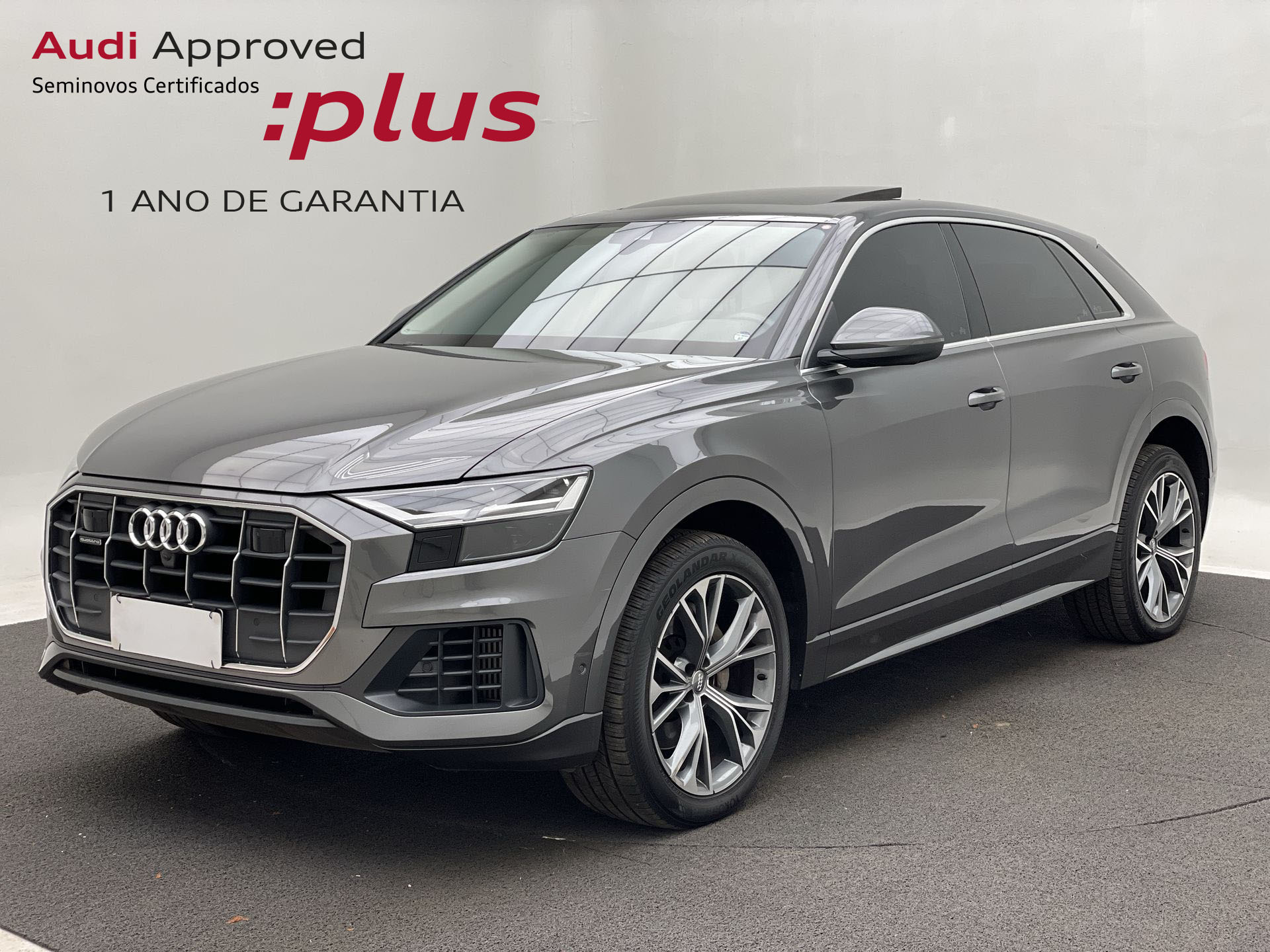 Q8 Performance 3.0 TFSI Quattro S-tronic