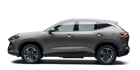 Veículo Jetour Advance