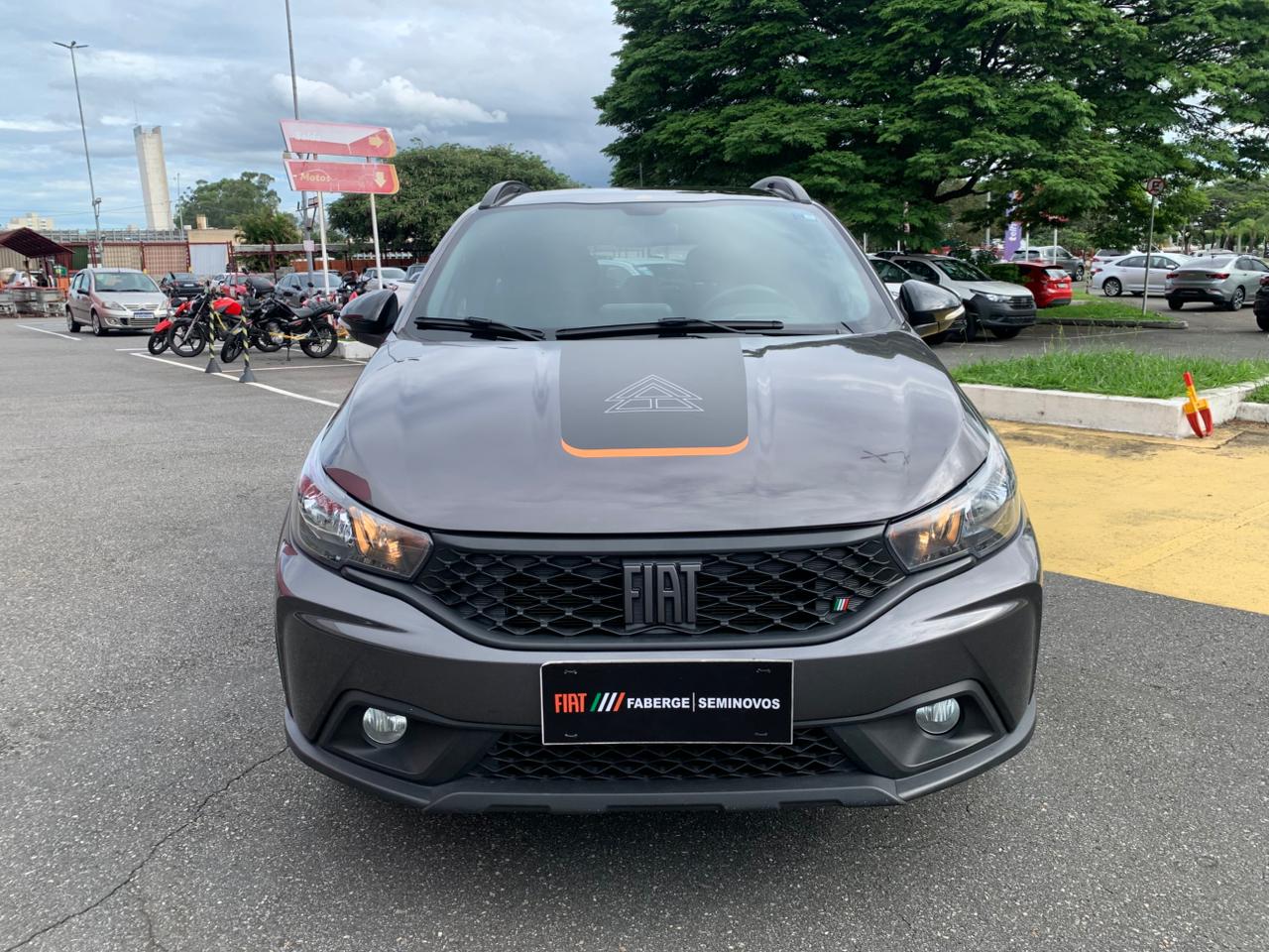 Fiat-ARGO-ARGO TREKKING 1.3 8V Flex