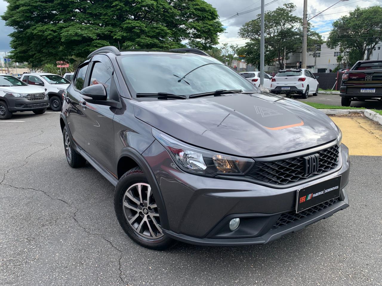 Fiat-ARGO-ARGO TREKKING 1.3 8V Flex