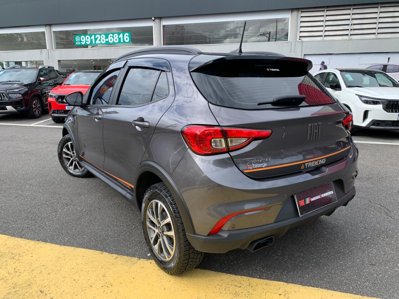 Fiat-ARGO-ARGO TREKKING 1.3 8V Flex