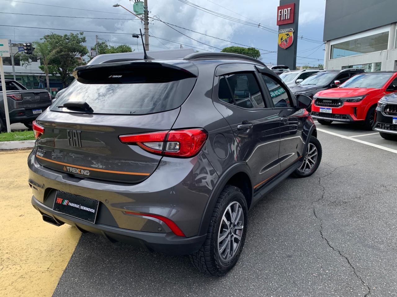 Fiat-ARGO-ARGO TREKKING 1.3 8V Flex