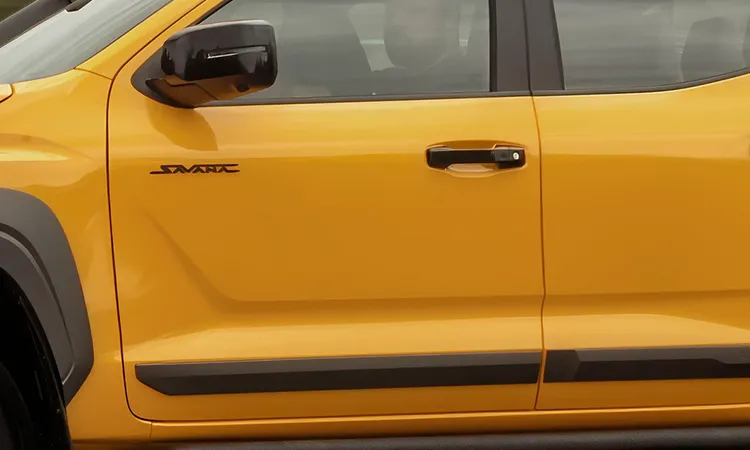 Friso de porta savana