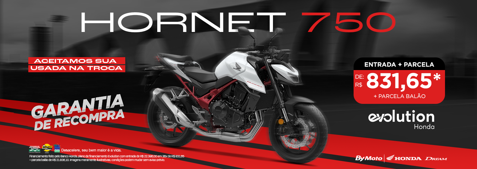 banner Hornet 750