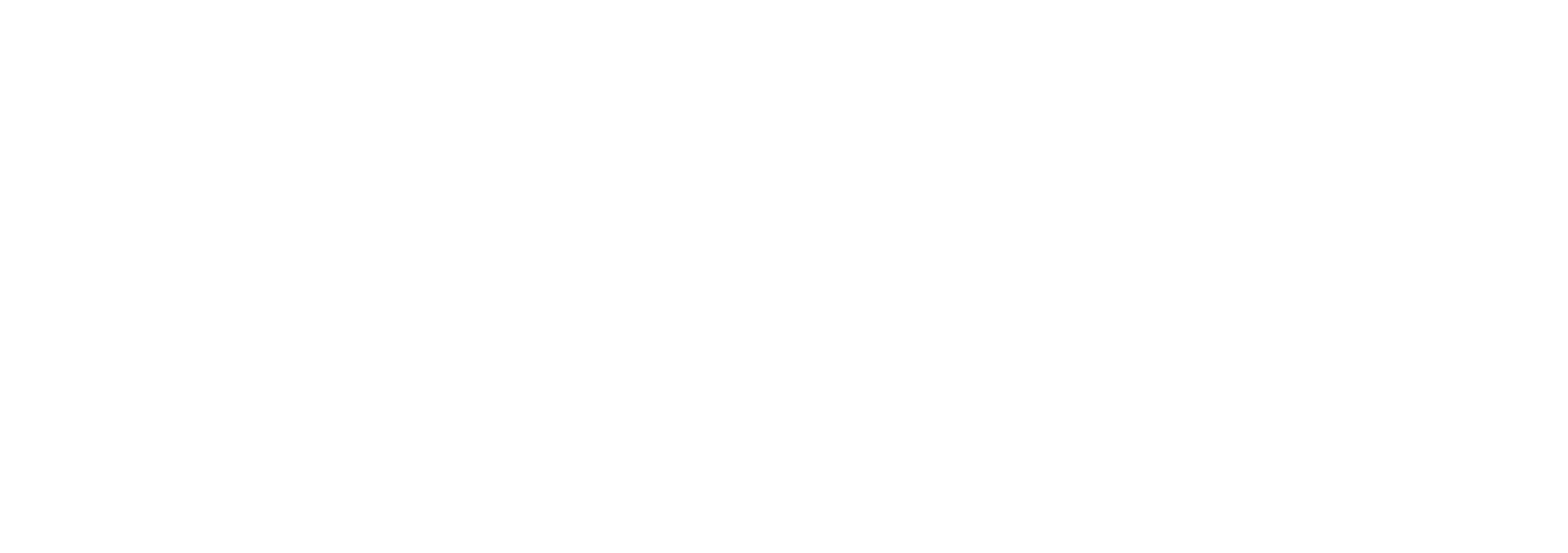 Header Logo Seminovos Via Porto