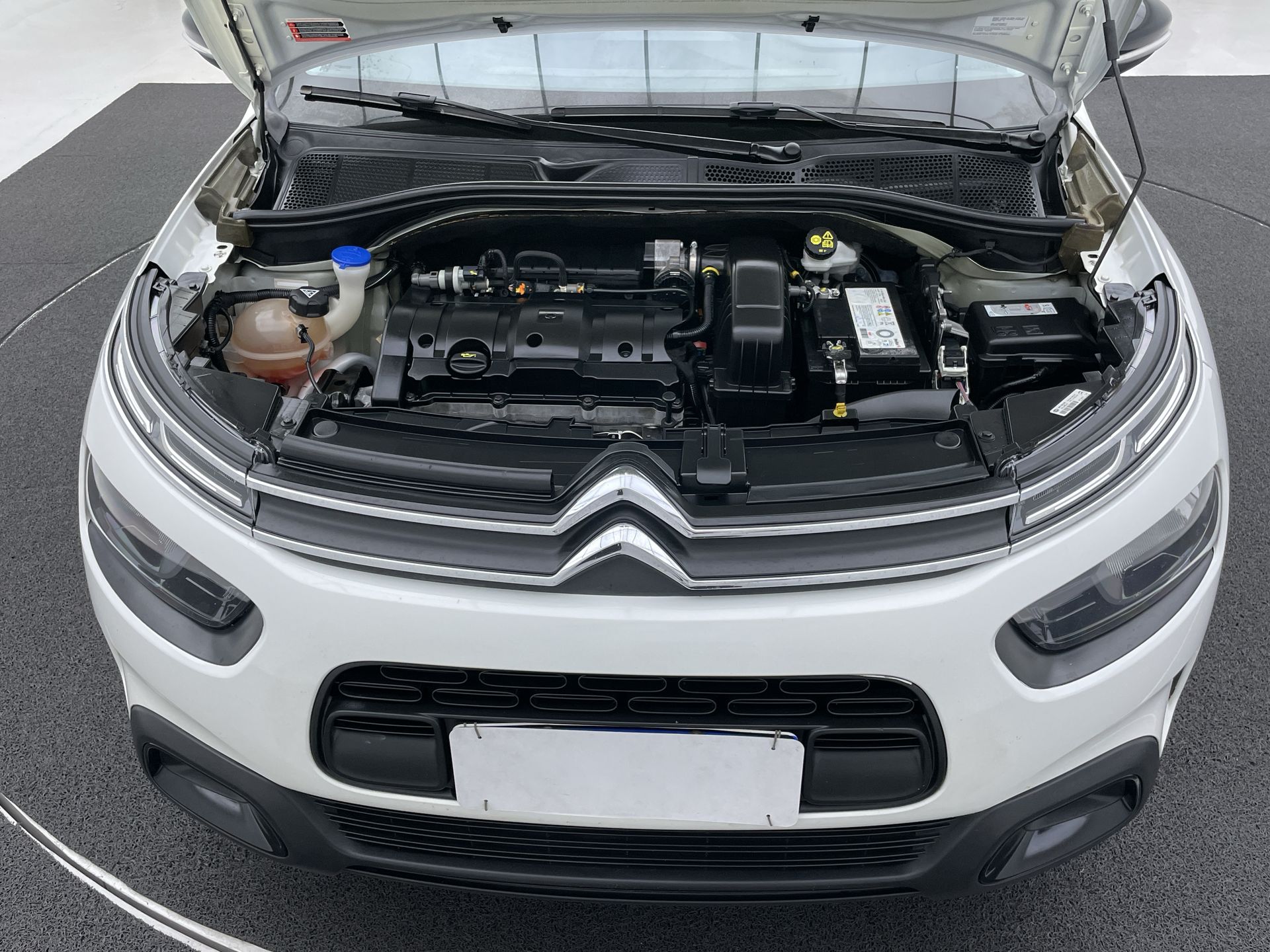 C4 CACTUS 1.6 VTI 120 FLEX FEEL EAT6