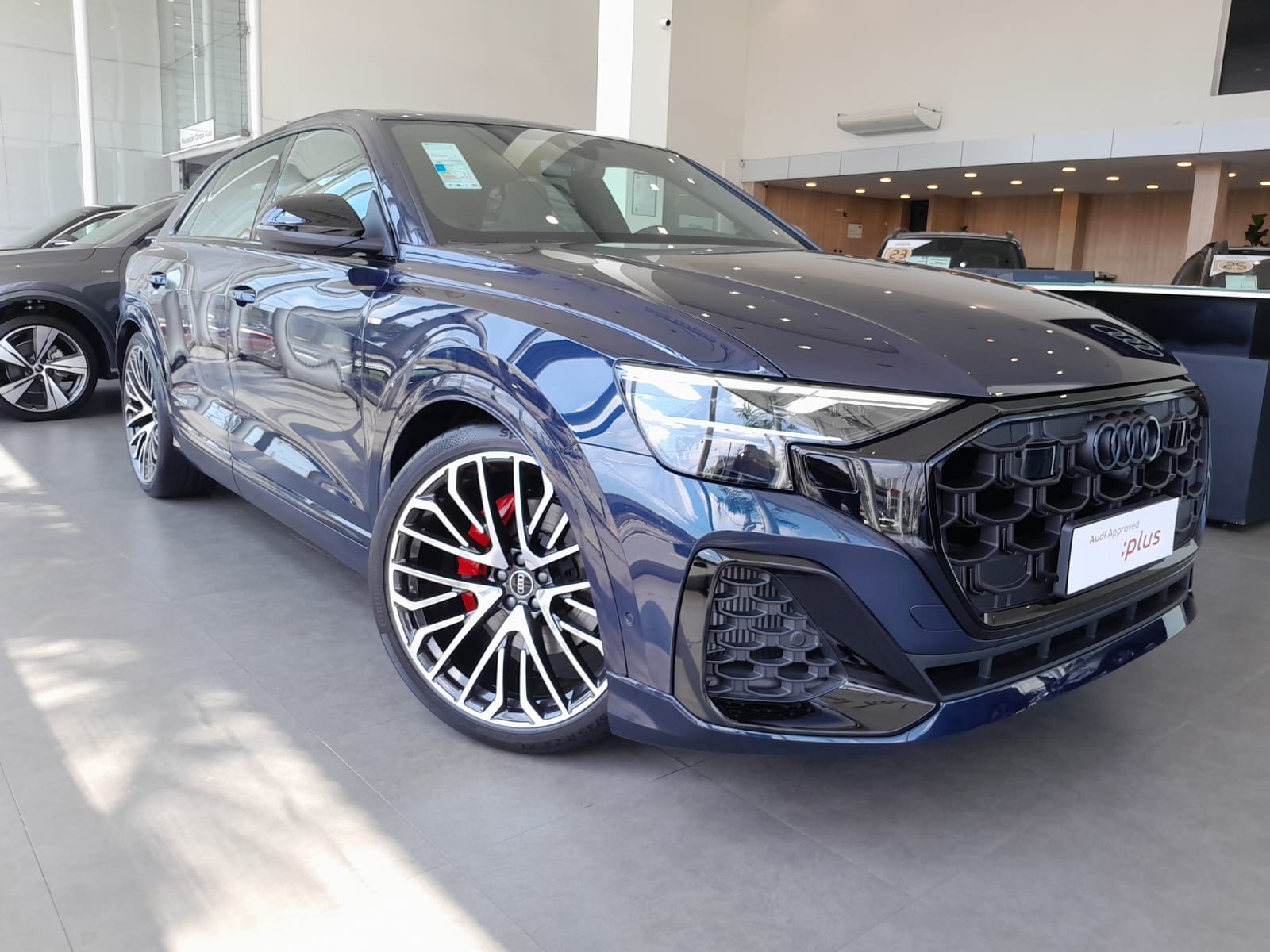 Audi-Q8-Q8 Perf.Black 3.0 TFSI Quat. S-tr/(Híb.)