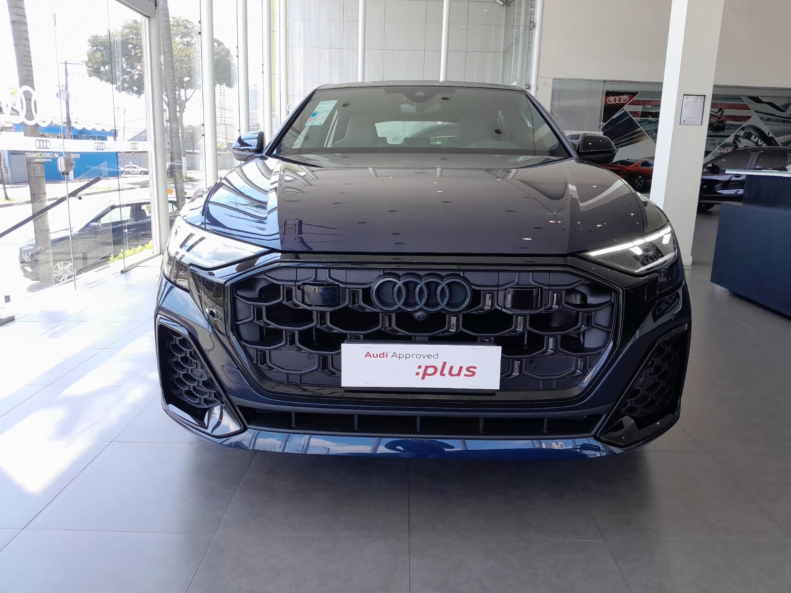 Audi-Q8-Q8 Perf.Black 3.0 TFSI Quat. S-tr/(Híb.)
