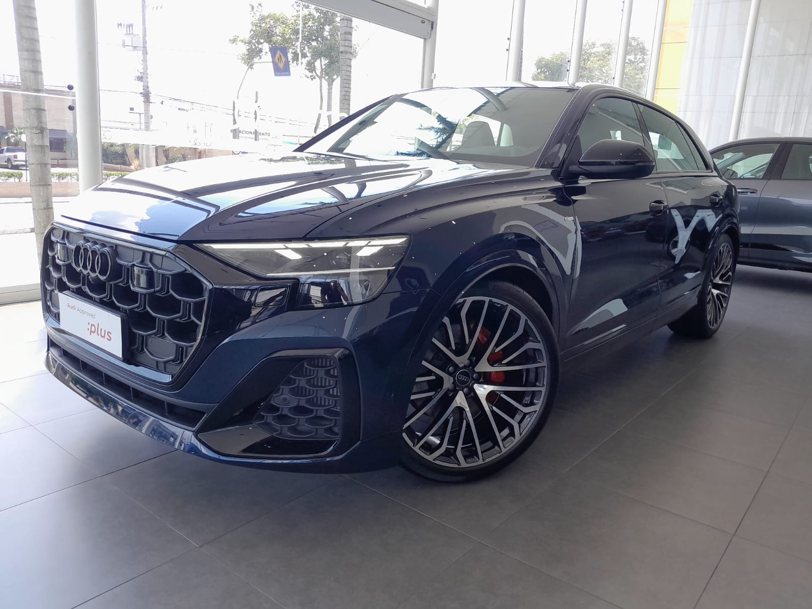 Audi-Q8-Q8 Perf.Black 3.0 TFSI Quat. S-tr/(Híb.)
