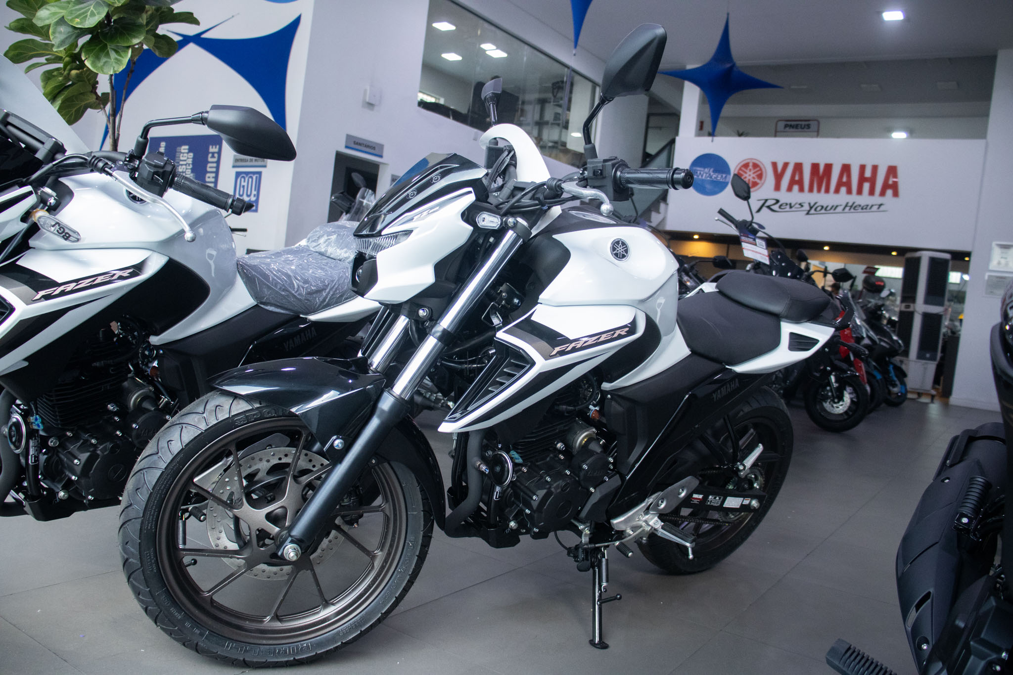 FZ25 250 FAZER CONNECTED