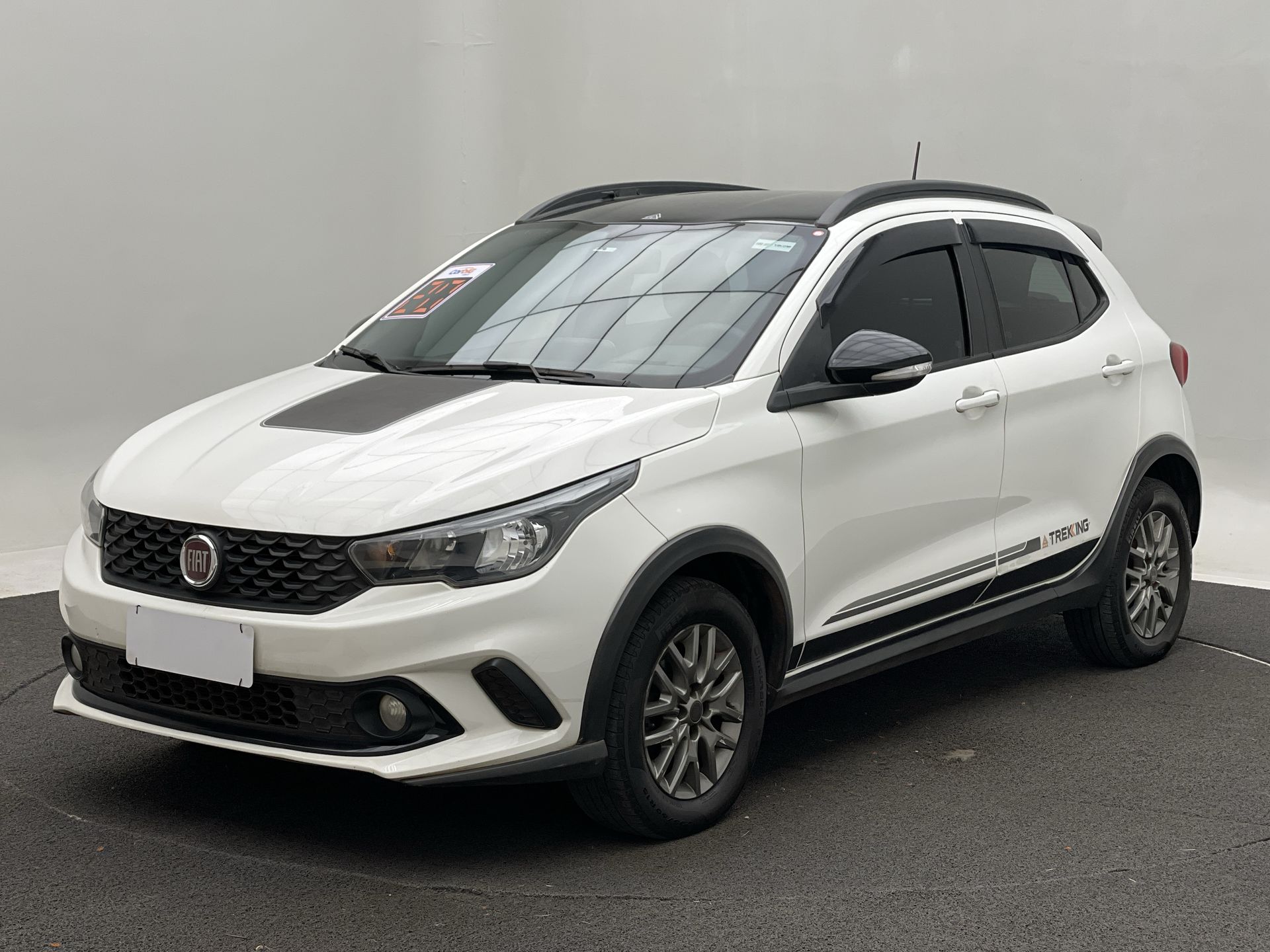 ARGO TREKKING 1.3 8V Flex