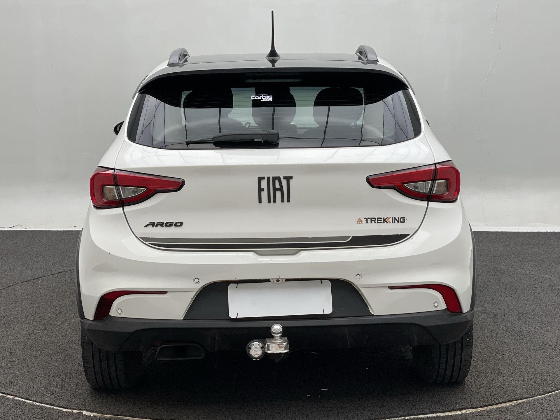 ARGO TREKKING 1.3 8V Flex