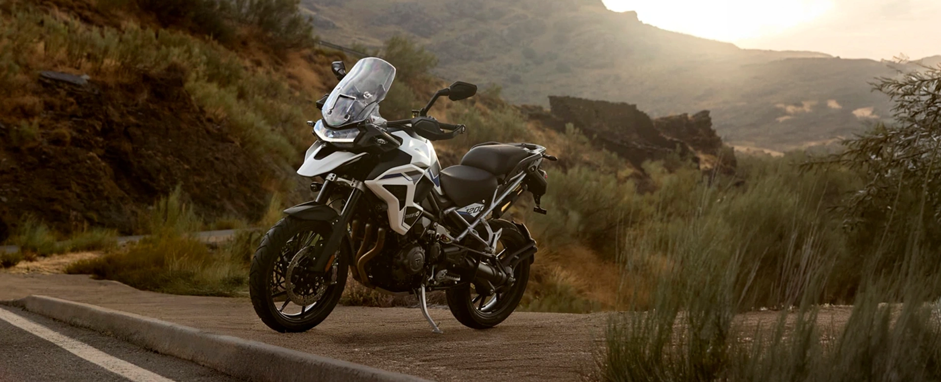 Tiger 1200 Alpine Edition