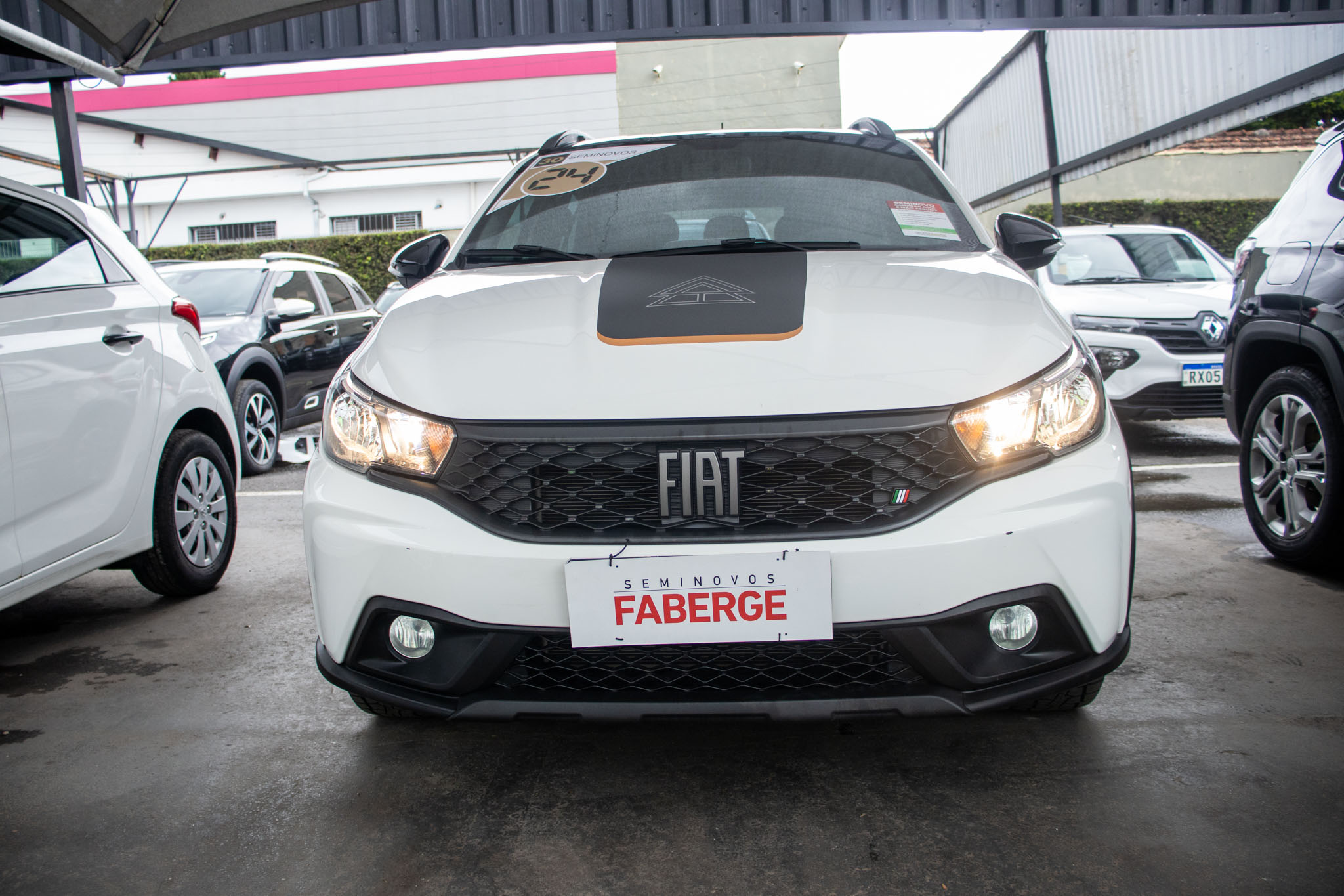 Fiat-ARGO-ARGO TREKKING 1.3 8V Flex Aut.