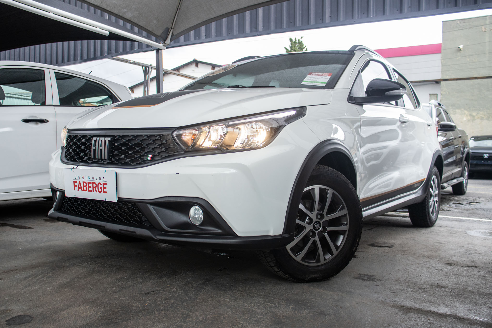 Fiat-ARGO-ARGO TREKKING 1.3 8V Flex Aut.