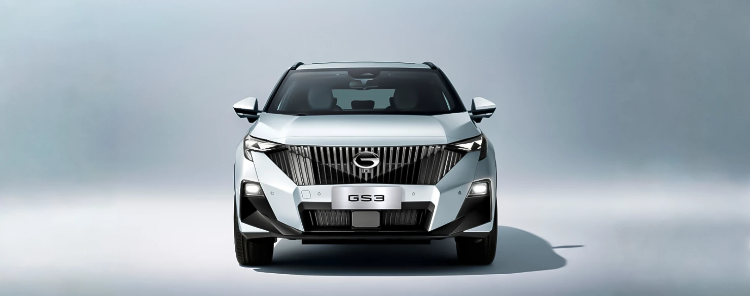 GS3