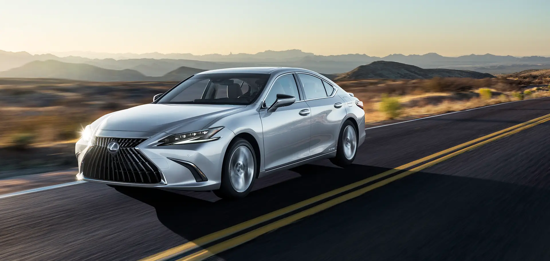 ELEGÂNCIA EM MOVIMENTO