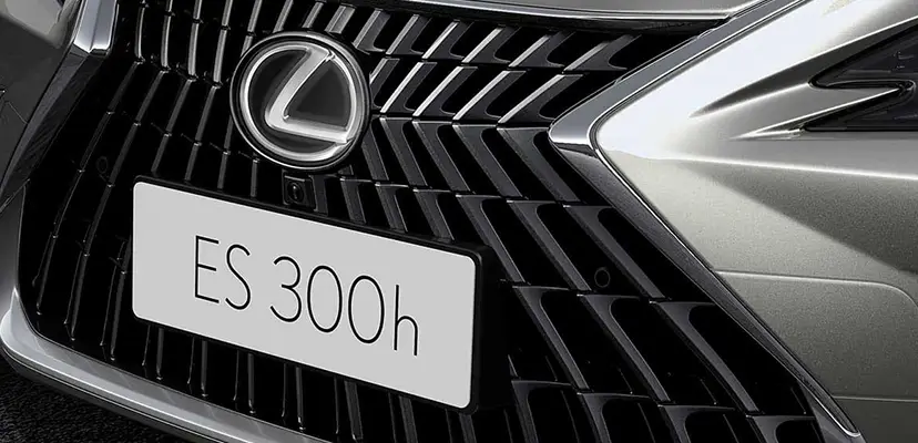 Elegância provocativa