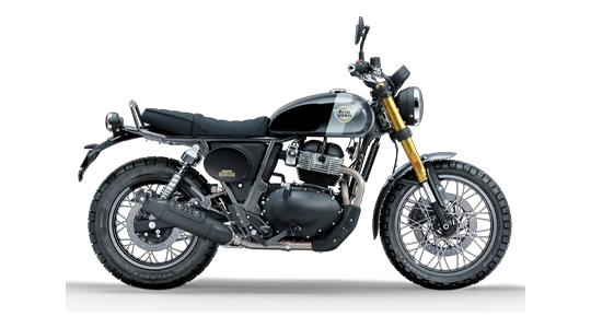 Bear 650