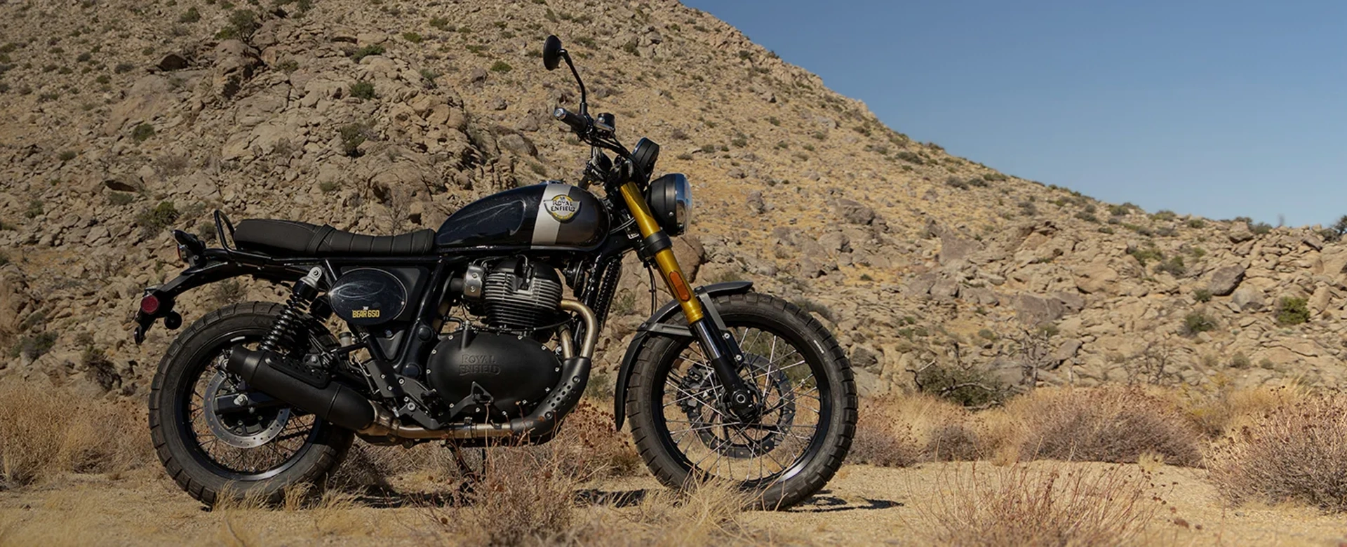 Bear 650