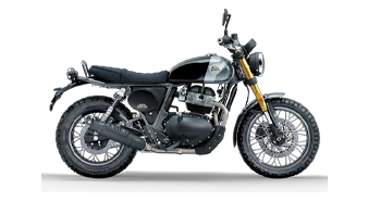 Bear 650