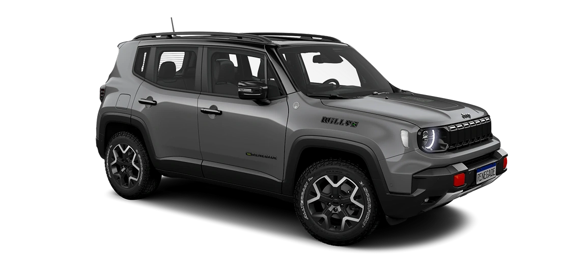 Altitude STING GRAY BICOLOR