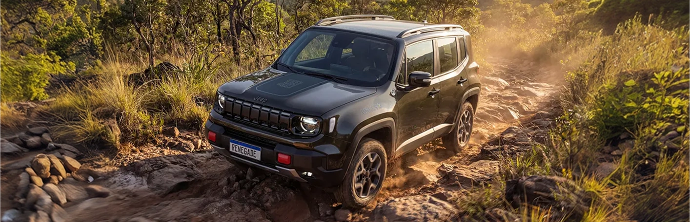 Hill Descent Control