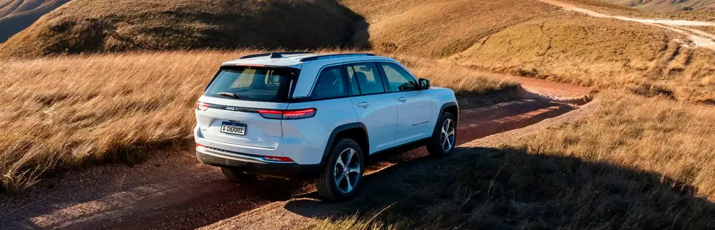 ASSISTENTE DE RAMPA E DESCIDA