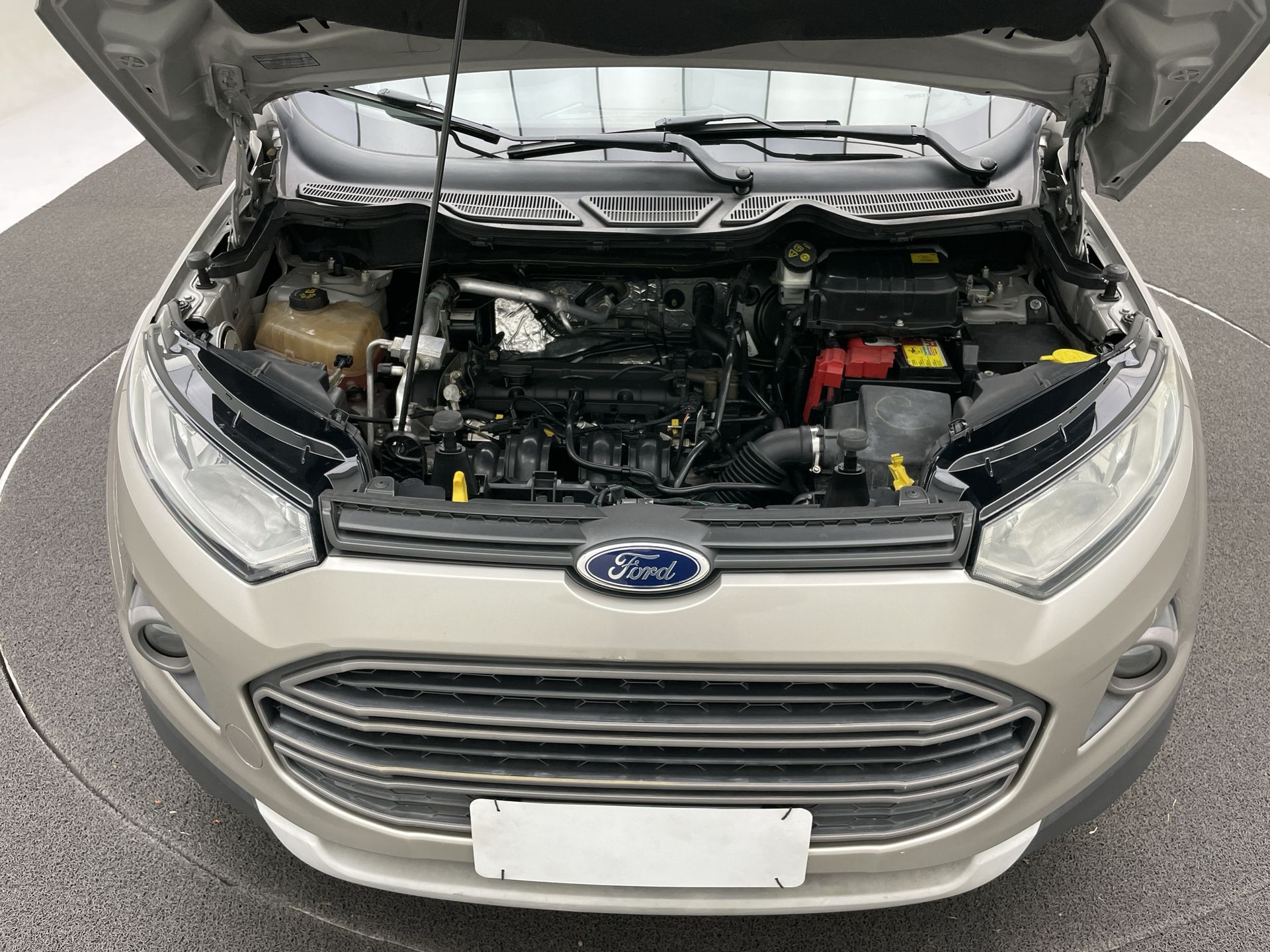 Ford-ECOSPORT-EcoSport FREESTYLE 1.6 16V Flex 5p Aut.