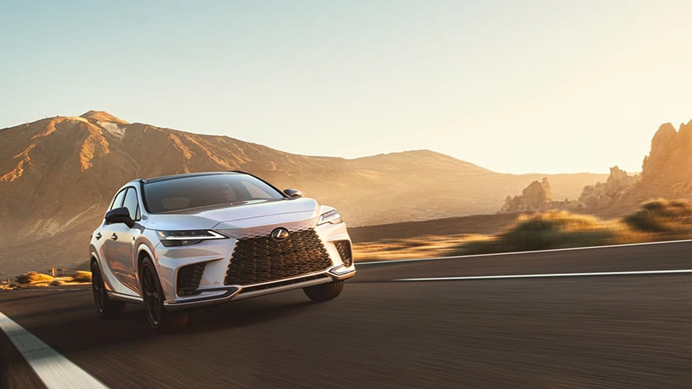 CONTROLE DE CRUZEIRO  POR RADAR DINÂMICO