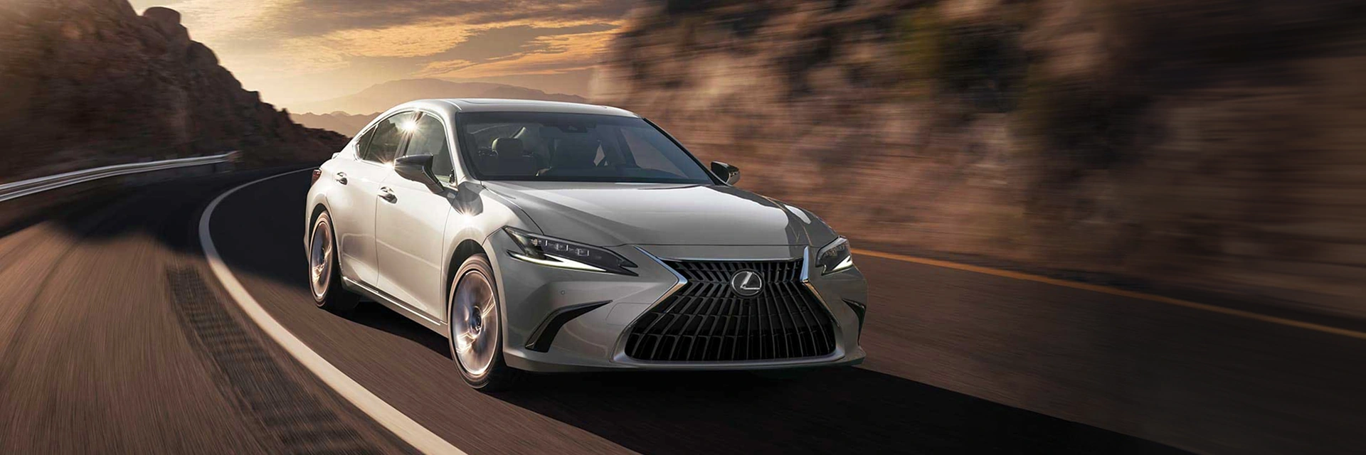 ELEGÂNCIA EM MOVIMENTO