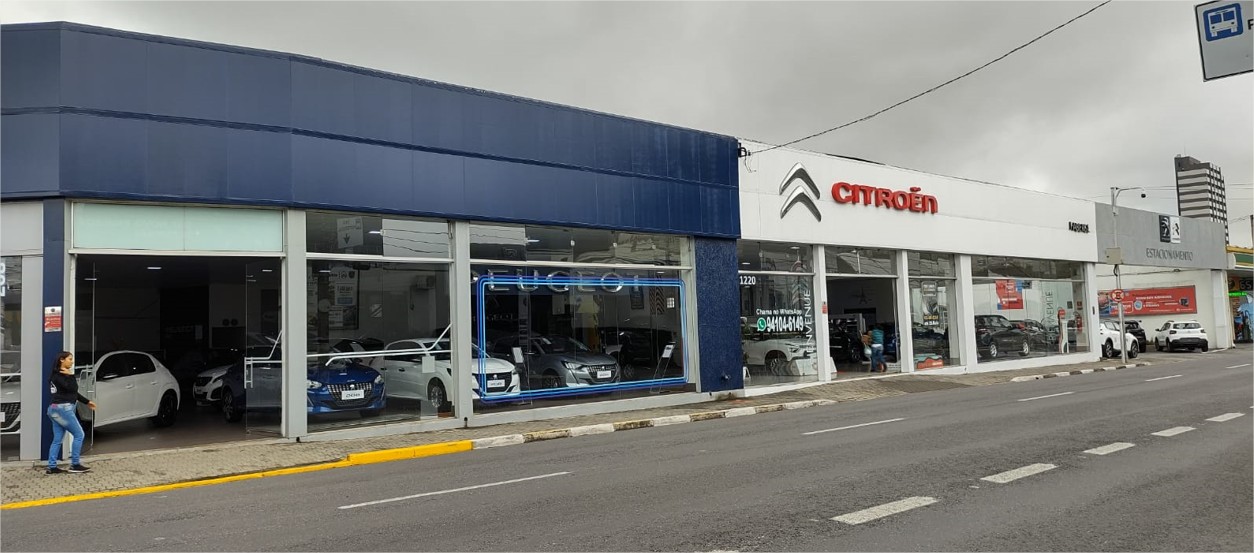 Peugeot Faberge - Mogi Das Cruzes