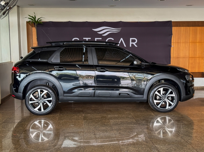 Citroën-C4 CACTUS-1.6 THP FLEX SHINE EAT6