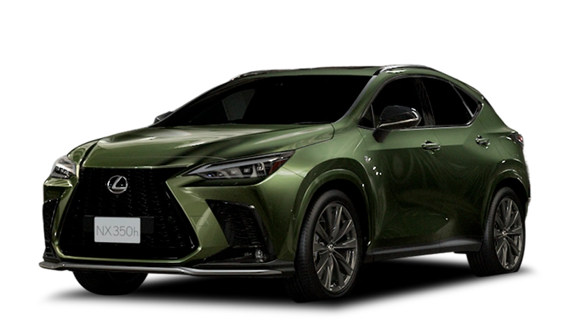 Verde Musgo