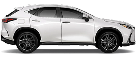 NX 350h Dynamic