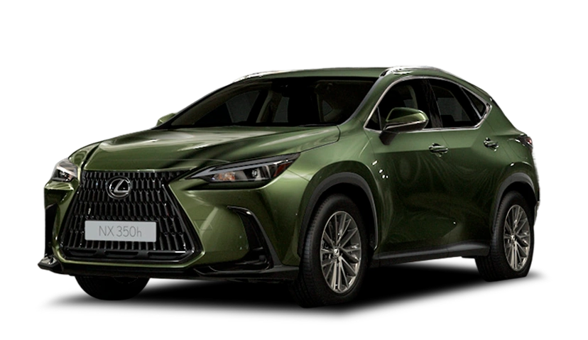 Verde Musgo
