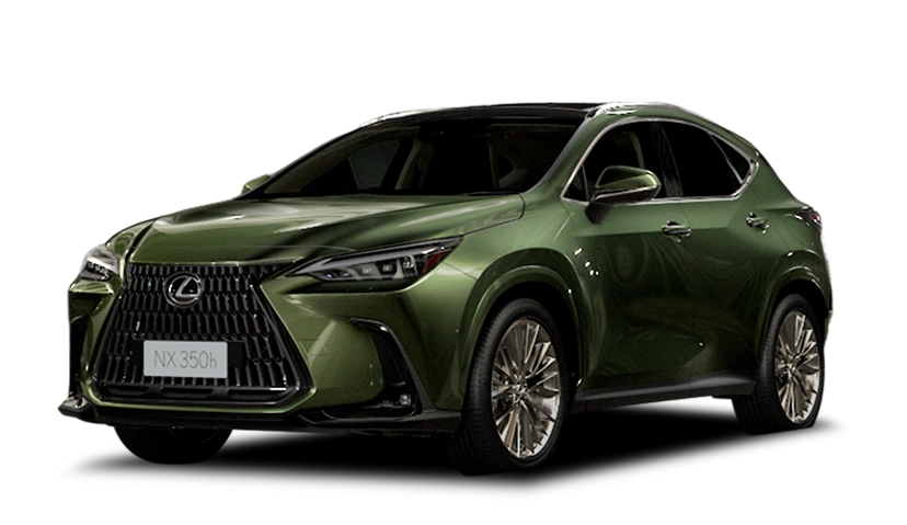 Verde Musgo