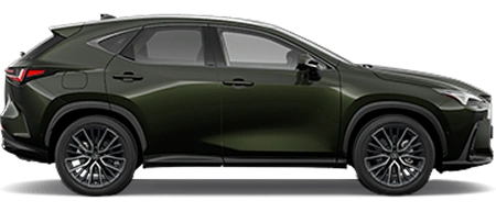 NX 450h+ Plug-in