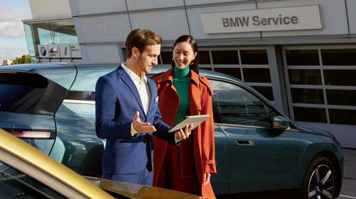 BMW TELESERVICE.
