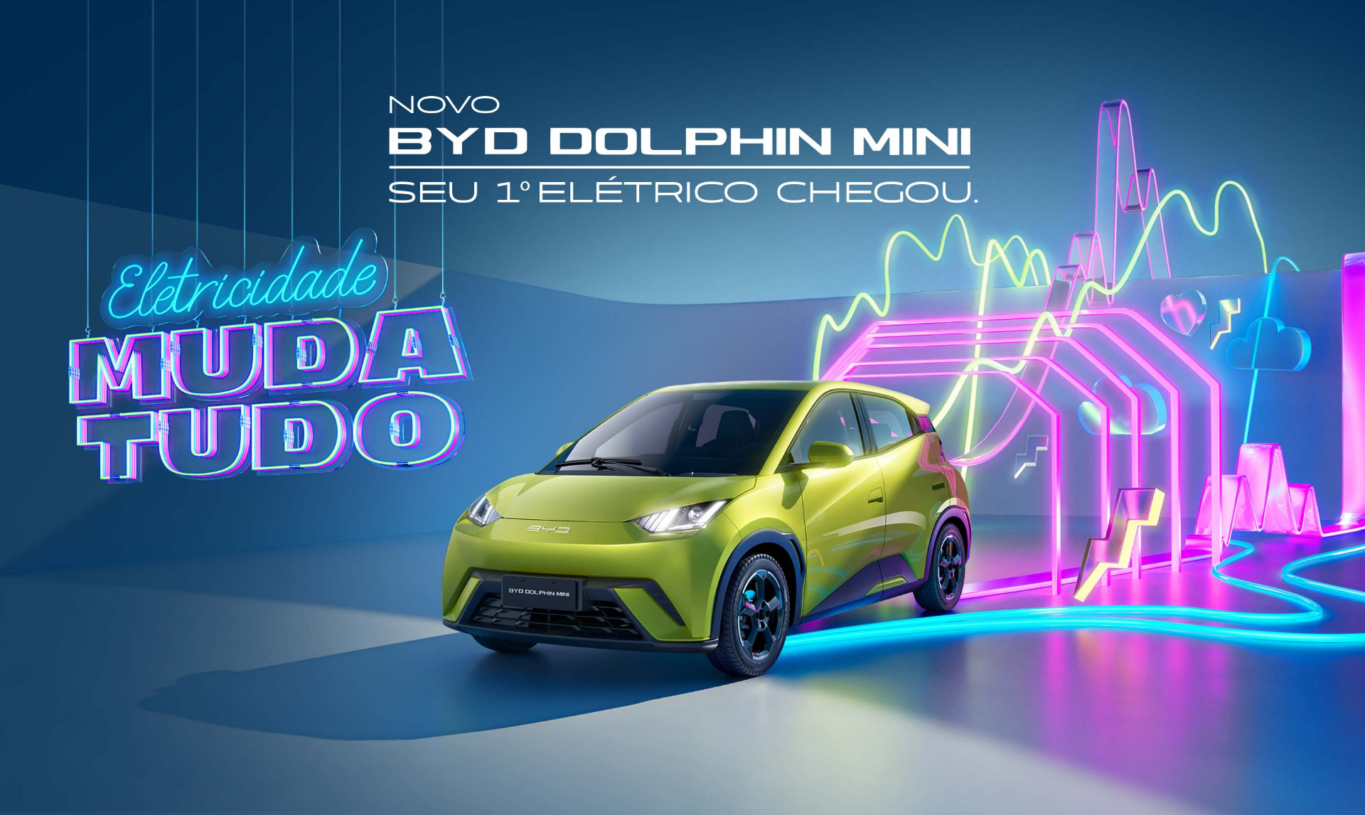 Dolphin Mini