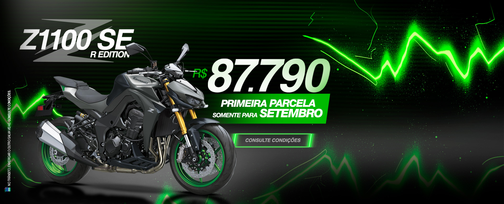 Z 1100 SE