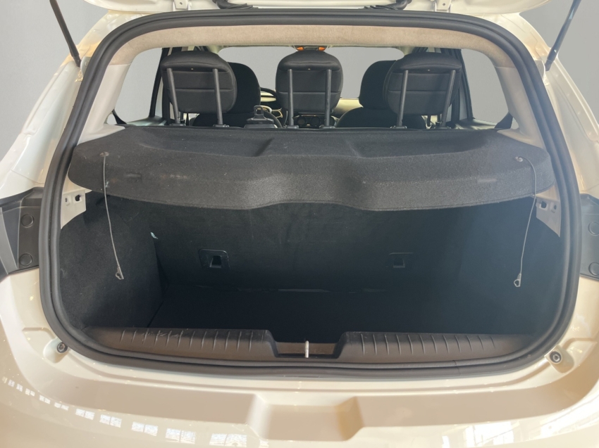 Fiat-ARGO-1.0 FIREFLY FLEX DRIVE MANUAL