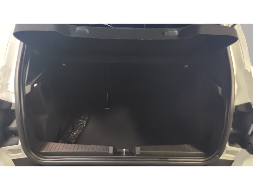 Renault-KARDIAN-1.0 TCE FLEX EVOLUTION MANUAL